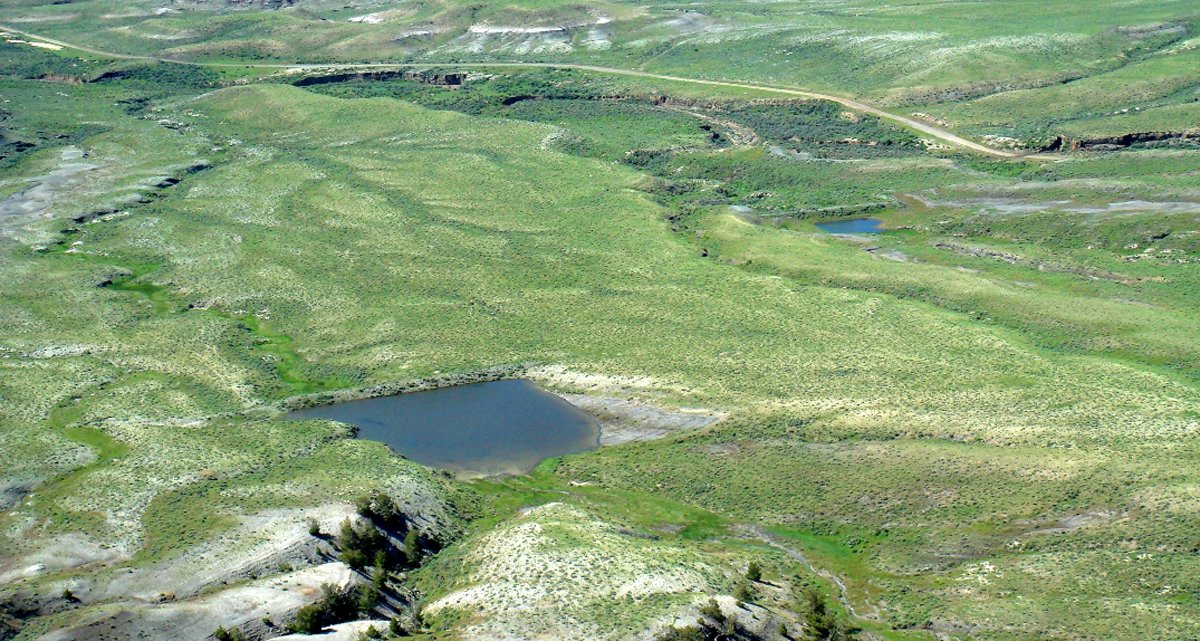 Property photo 4 - 92,312+/- Acres Offered in 14 Tracts